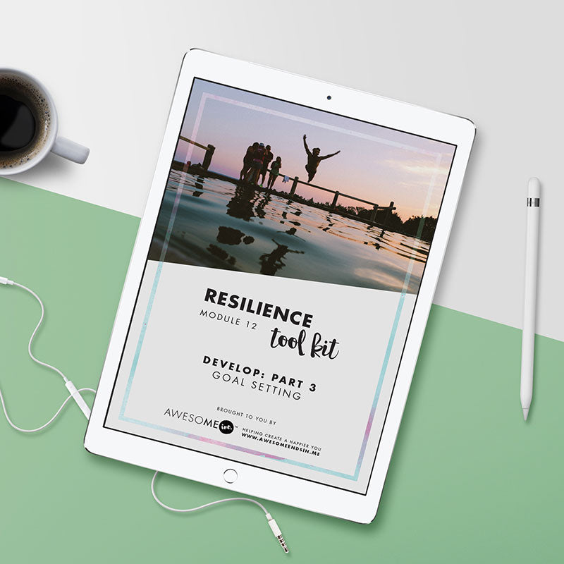 The Resilience Toolkit | eCourse | DOWNLOAD